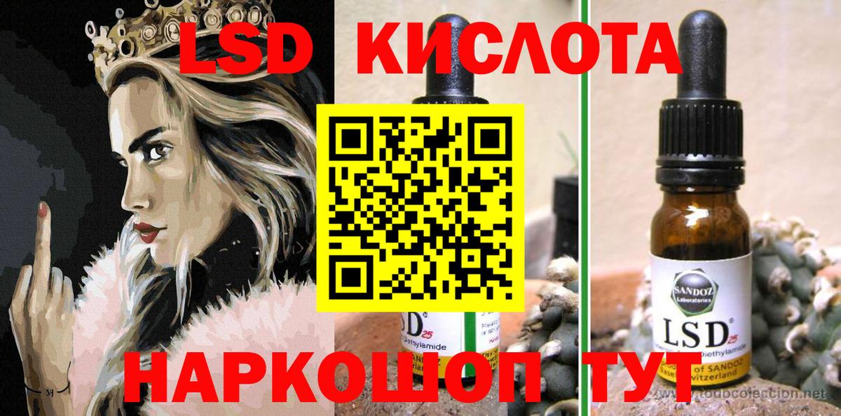 МЕФ Сыктывкар