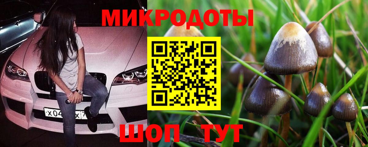 Сыктывкар  Галлюциногенные грибы мицелий  Вход с VPN 